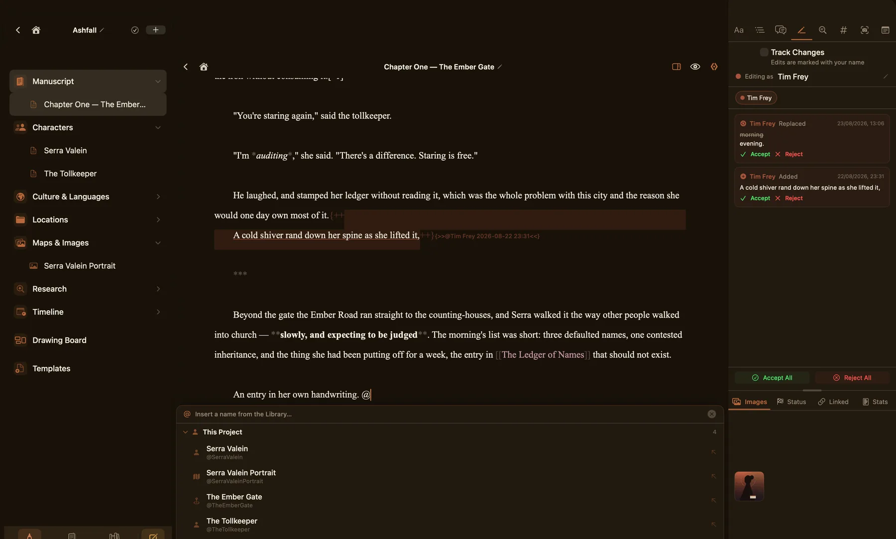 The margin panel beside a chapter: Track Changes with accept and reject, and tabs for images, status, linked documents and stats